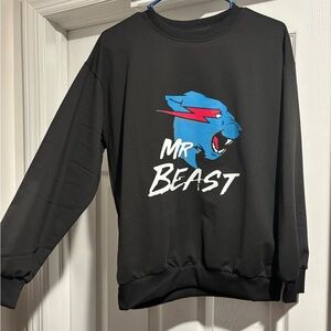 Mr.Beast sweater youth